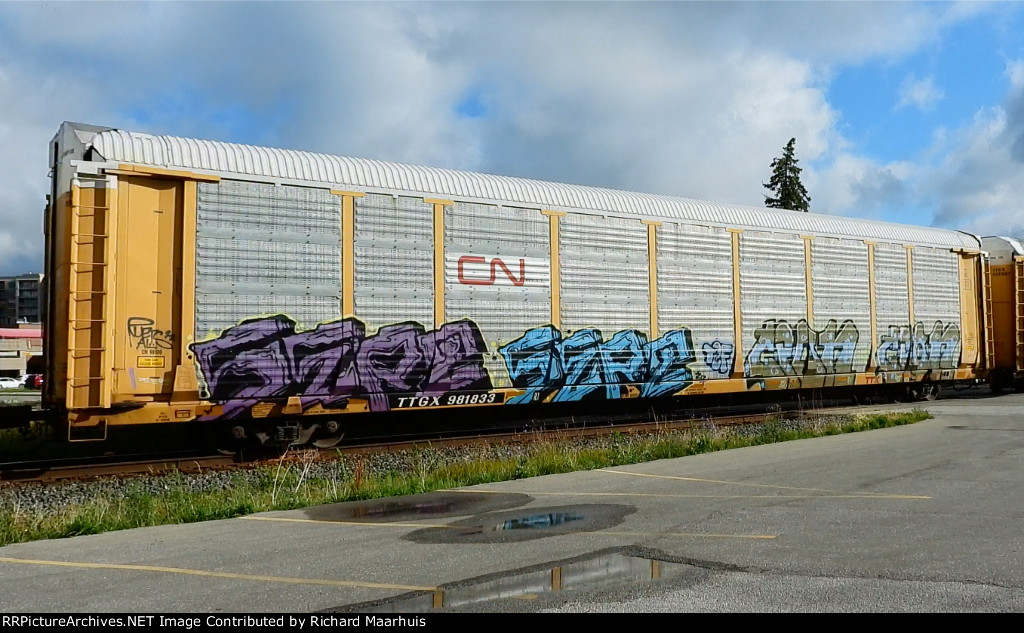 TTGX 981833 CN